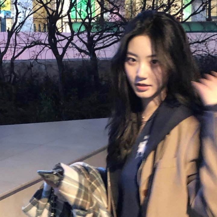 鲨胆小英雄